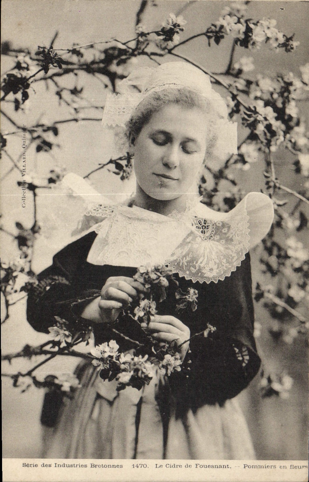 CPA Folklore Seerie des industries bretonnes Le cidre de Fouesnant Pommiers en fleurs 