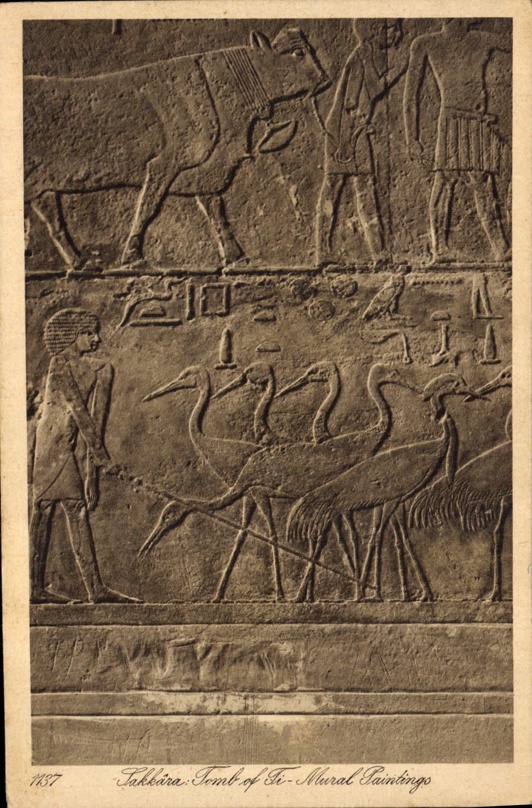 CPA Egypt Egypte Sakkara Tomb of Ti Mural Paintings