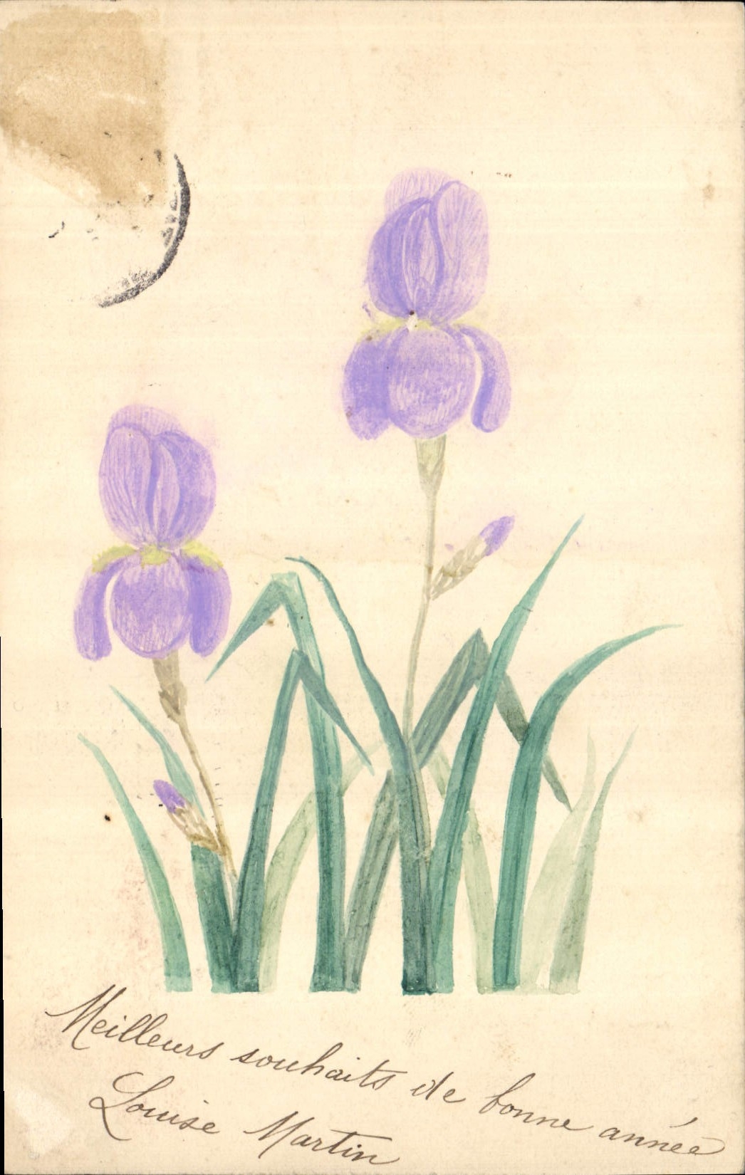 CPA Fantaisie (dessin a la main ) Fleurs