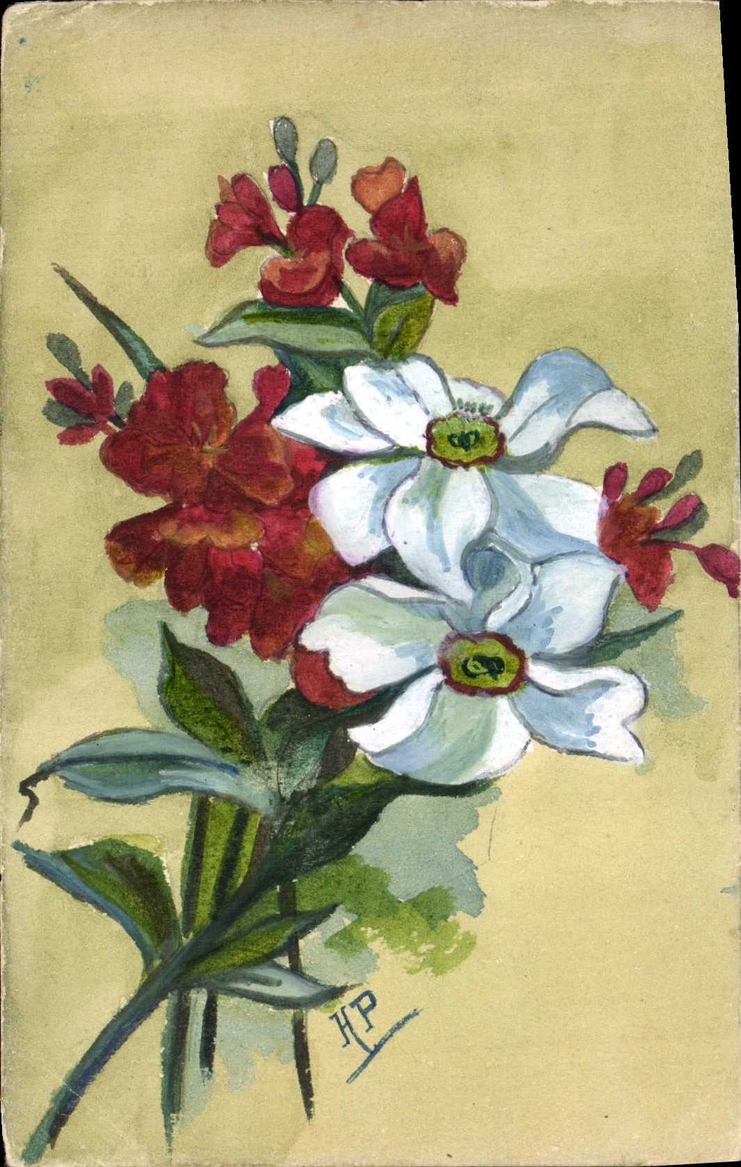 CPA Fantaisie (dessin a la main ) Fleurs