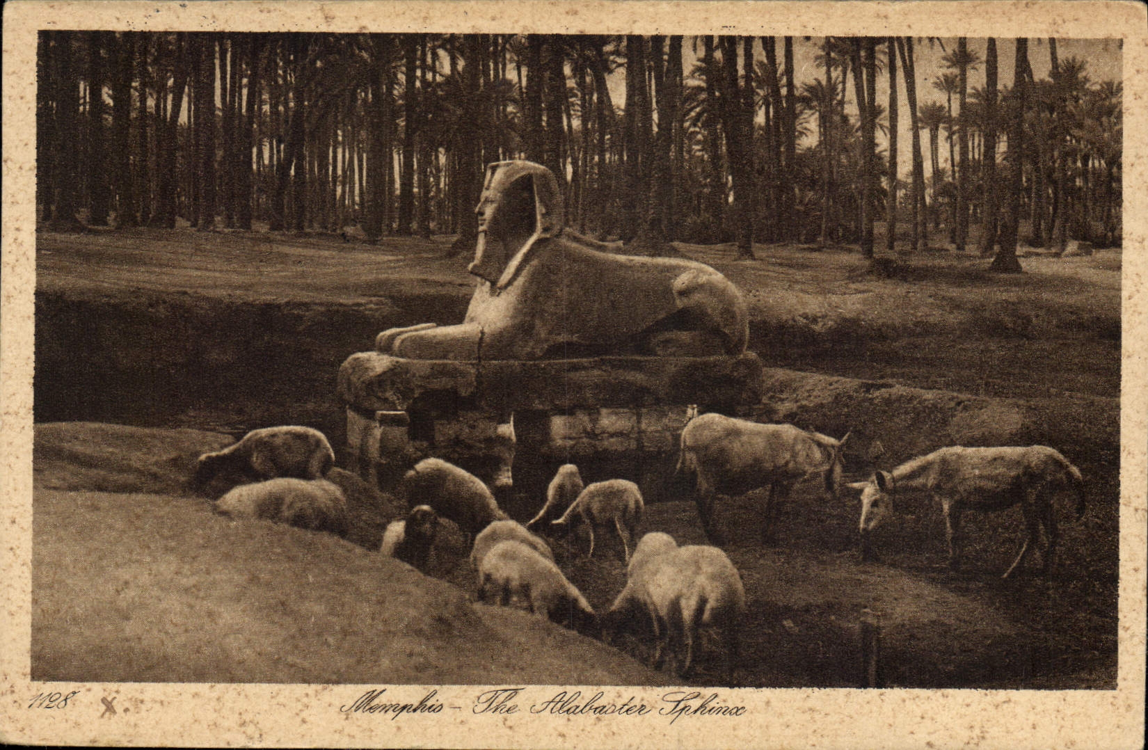 CPA Egypte Egypt Memphis 