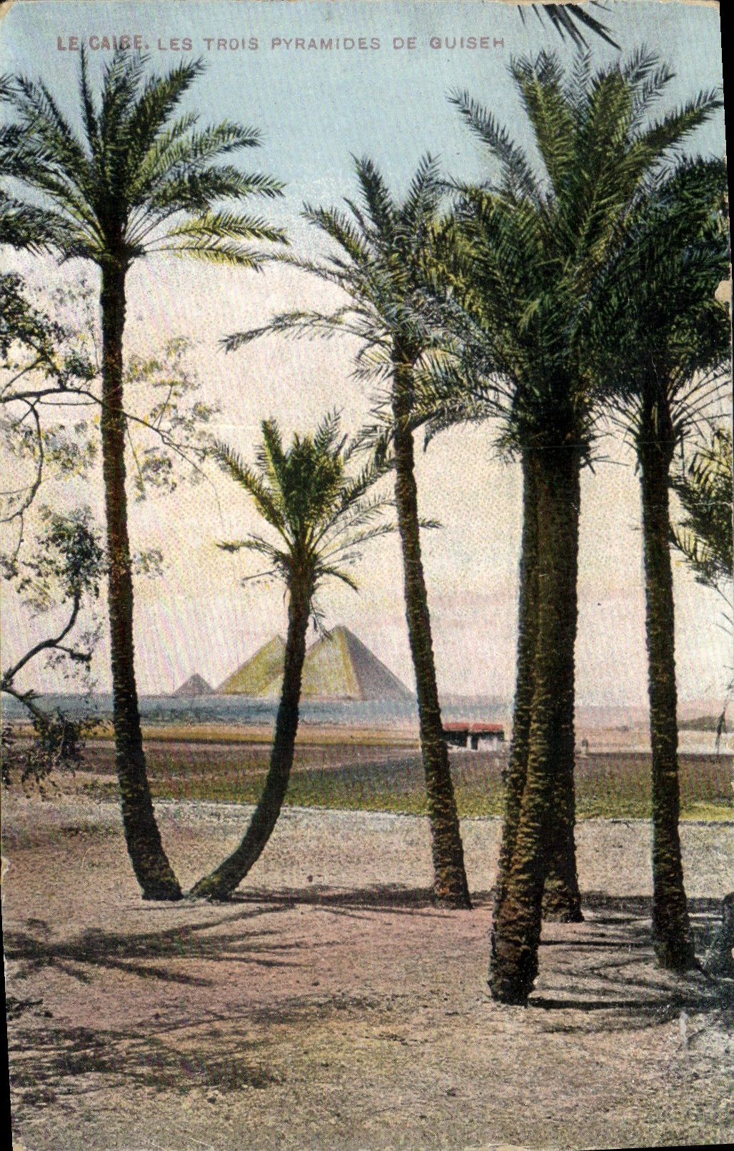 CPA Egypte Egypt Le Caire Les Trois Pyramides de Guiseh