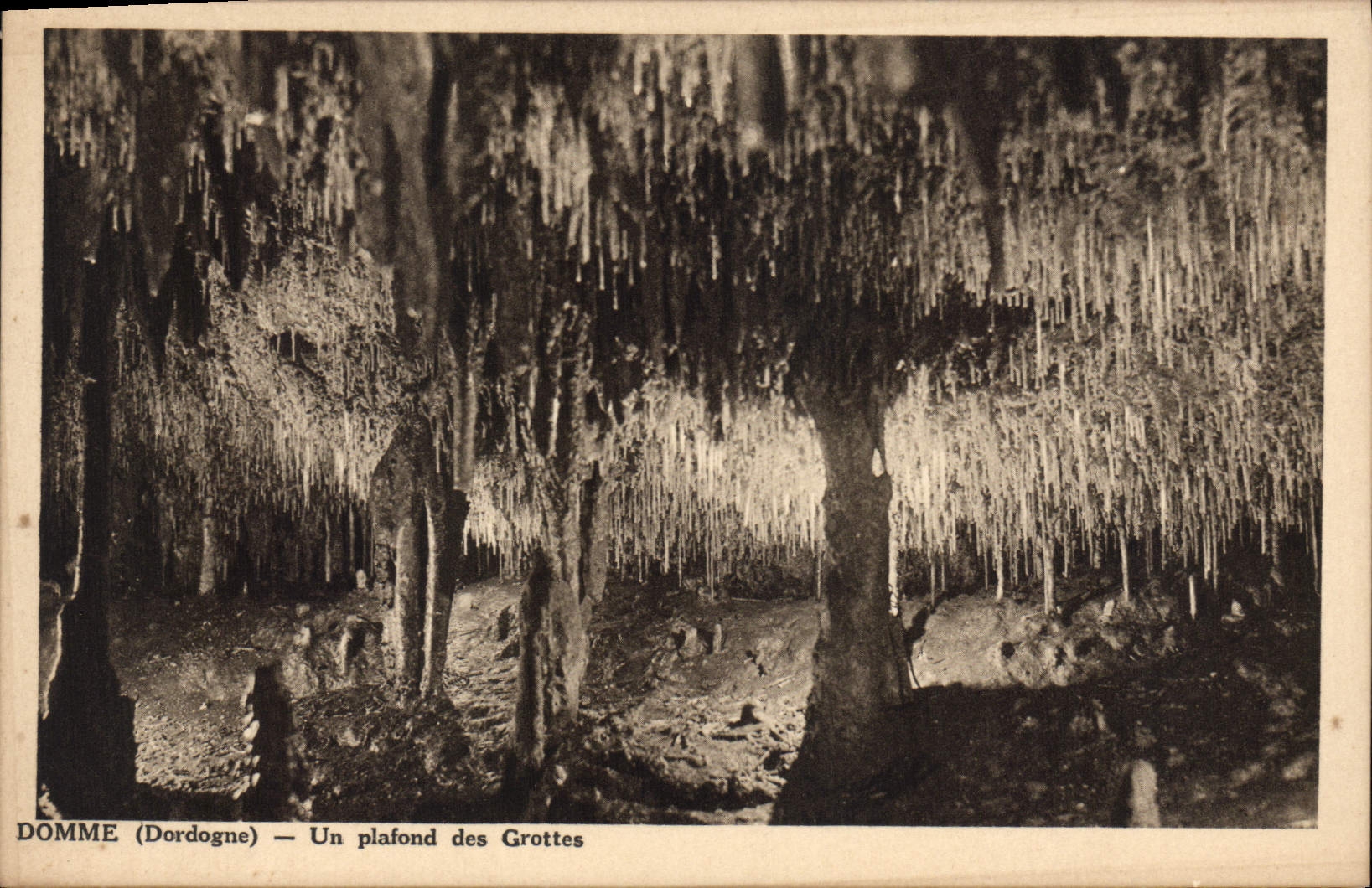 CPA Domme Dordogne un plafond des Grottes 