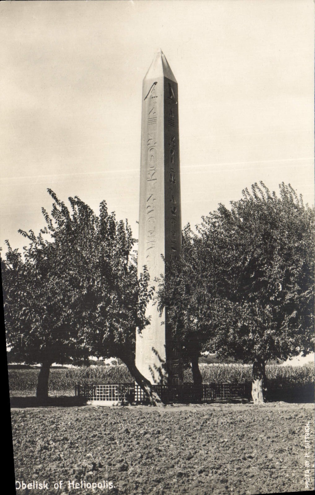 CPA Egypt Egypte Obelisk of Heliopolis