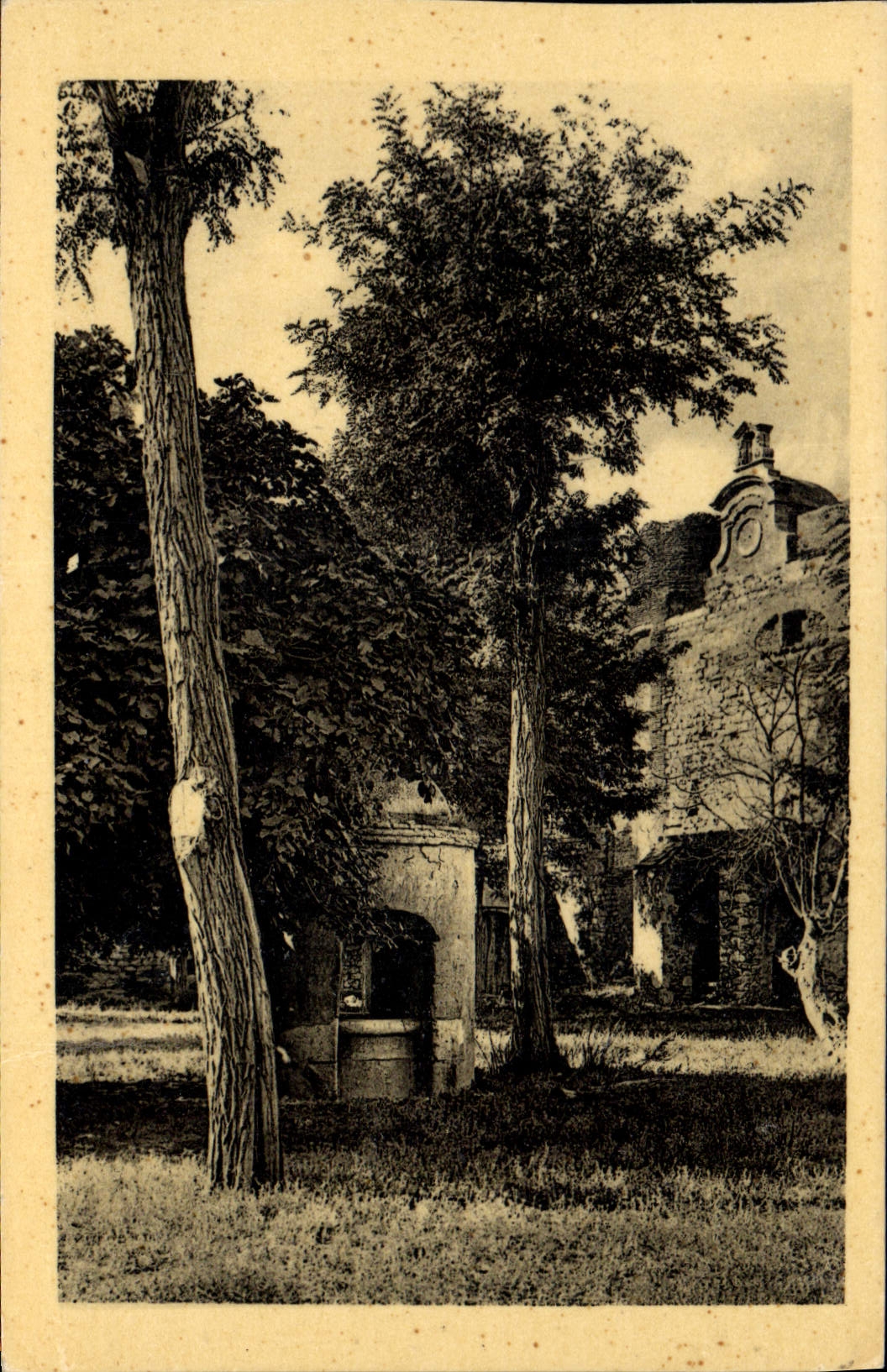 CPA Chateau Salses Le fort Puits