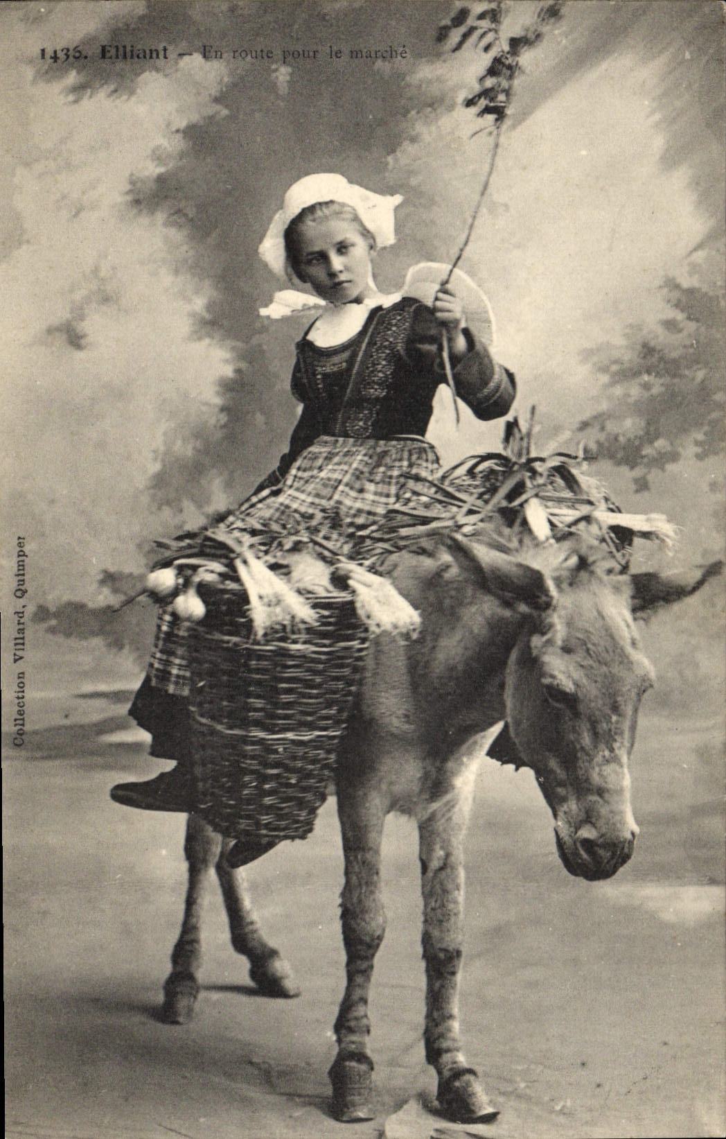 CPA Folklore Elliant En route pour le marche Ane Mule