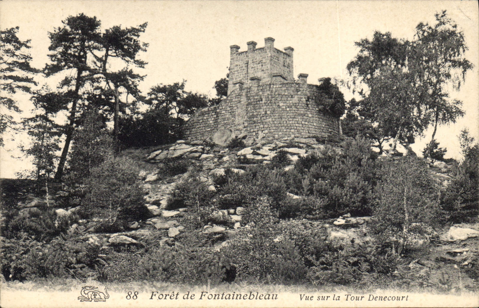 CPA Chateau Foret de Fontainebleau Vue sur la Tour Denecourt