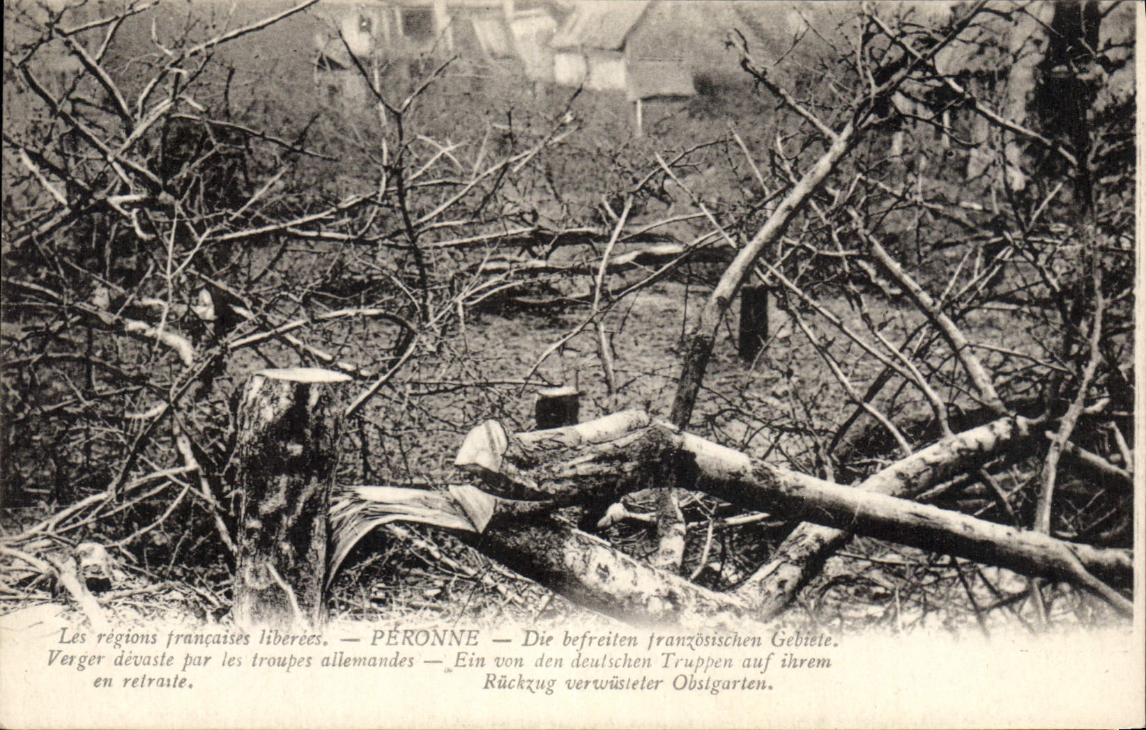 CPA Militaria Peronne Verger devaste par les troupes allemandes