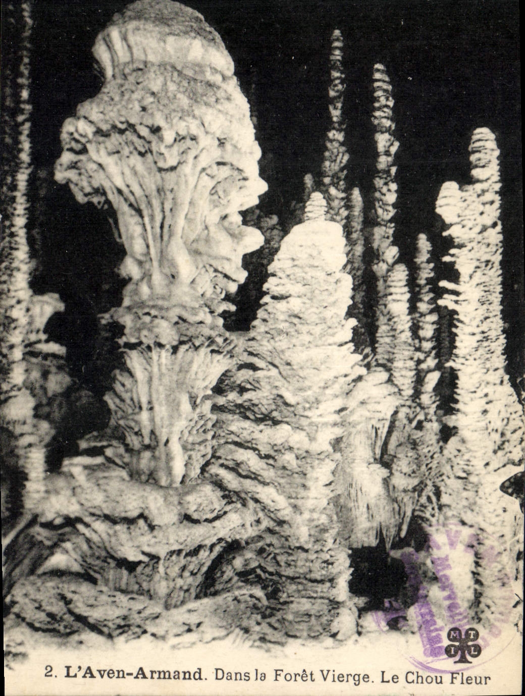 CPA Grotte Grottes L'Aven Armand Dans la foret vierge Le chou fleur