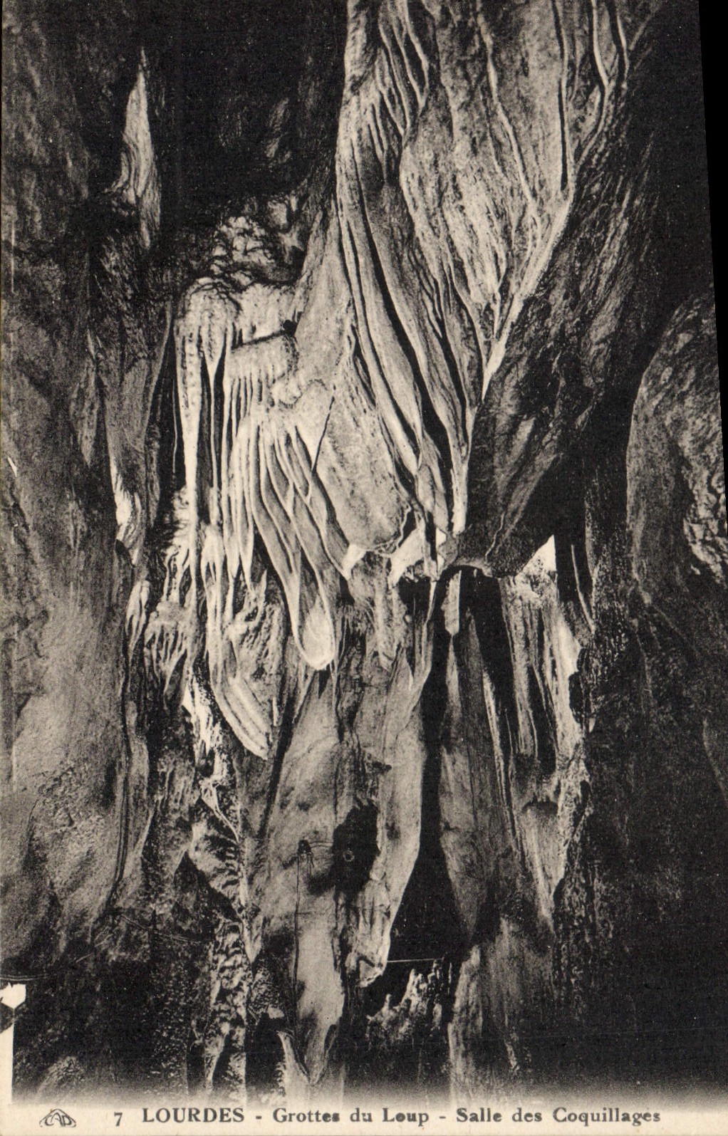 CPA Grotte Grottes du Loup Salle des coquillages Lourdes 