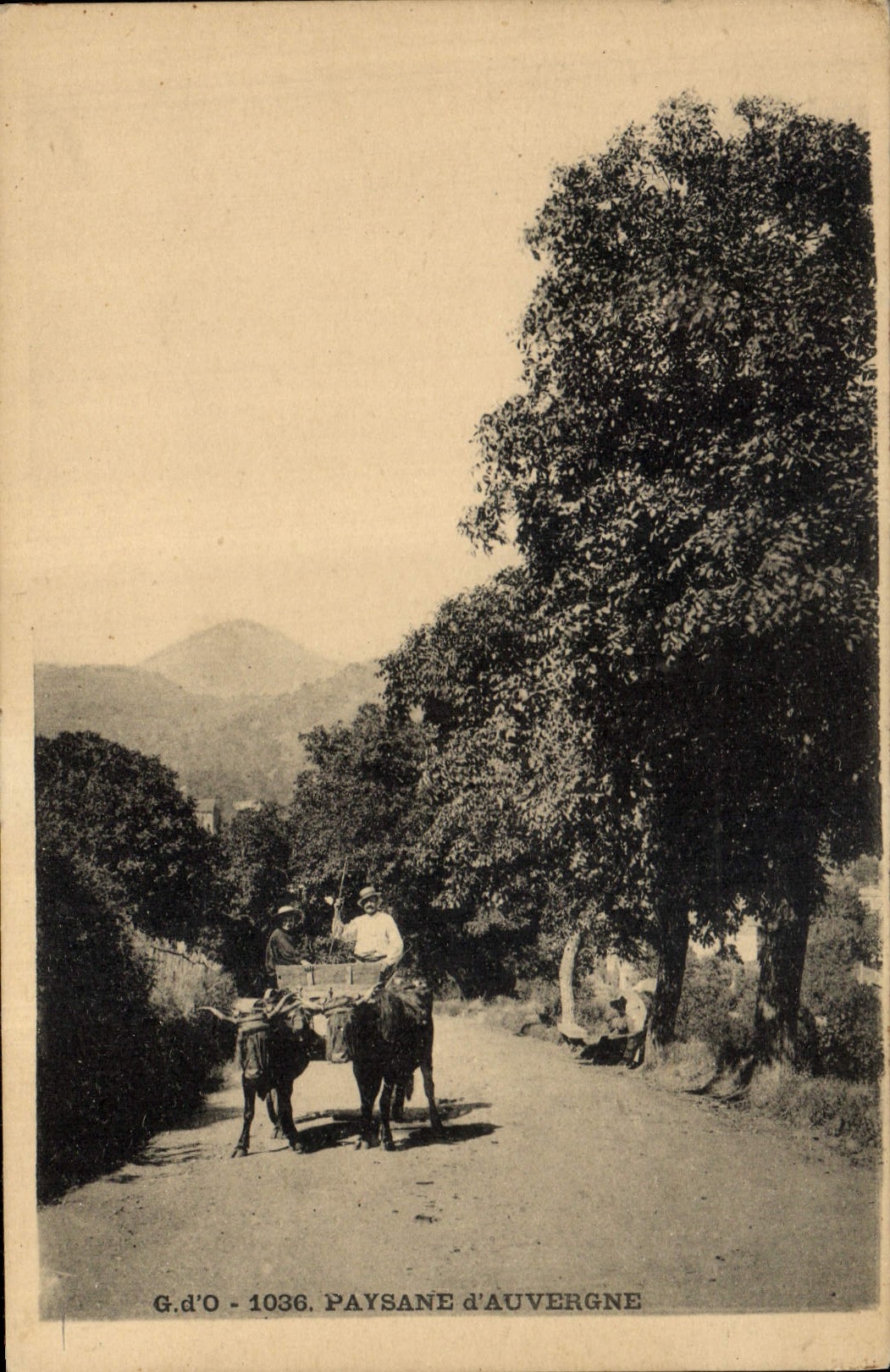 CPA Folklore Paysanne d'Auvergne 