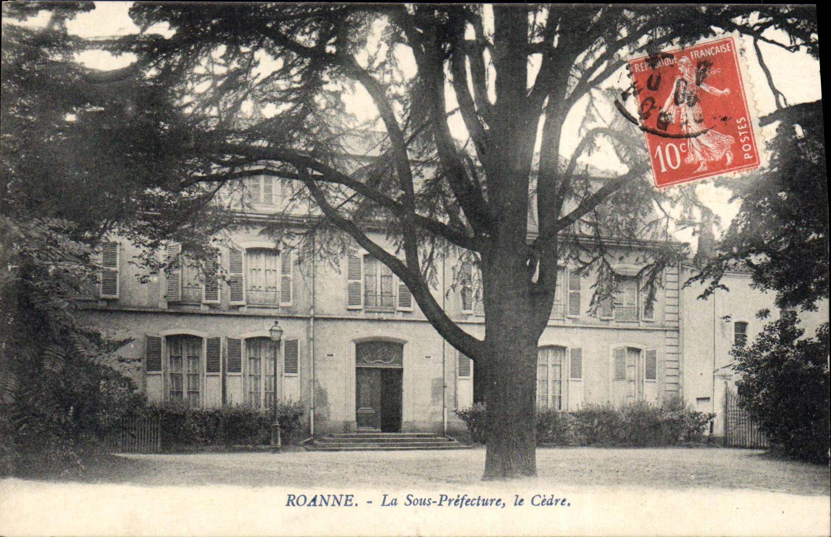 CPA Roanne La Sous Prefecture Le cedre