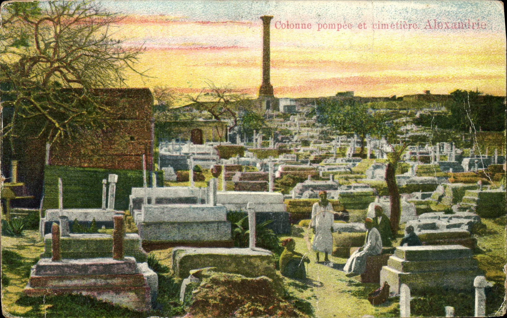 CPA Egypte Egypt Colonne pompeo et Cimetiere Alexandrie 