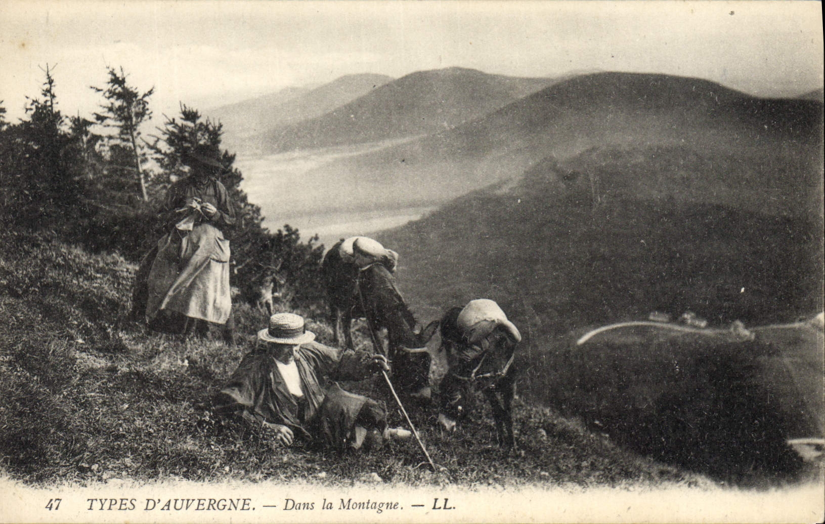 CPA Folklore Auvergne Dans la montagne Ane Mule 