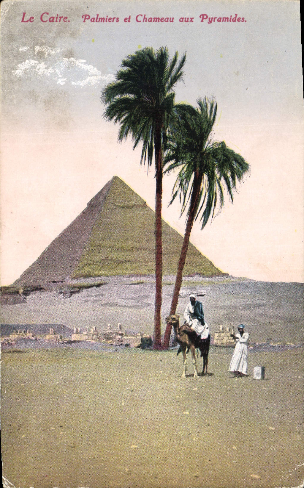 CPA Egypte Egypt Le Caire Palmiers et chameau aux Pyramides 