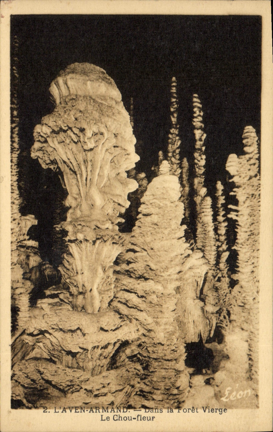 CPA Grotte Grottes L'Aven Armand Dans la Foret vierge Le chou fleur