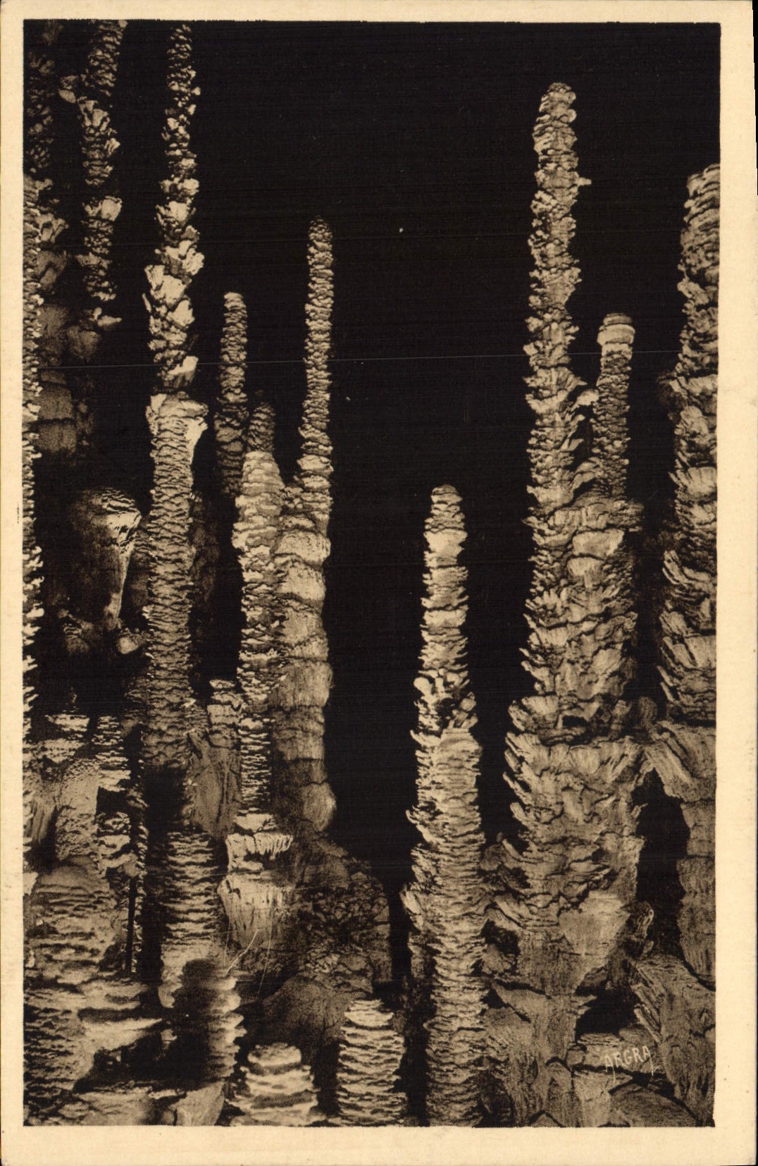 CPA Grotte Grottes Aven Armand Dans la Foret Vierge