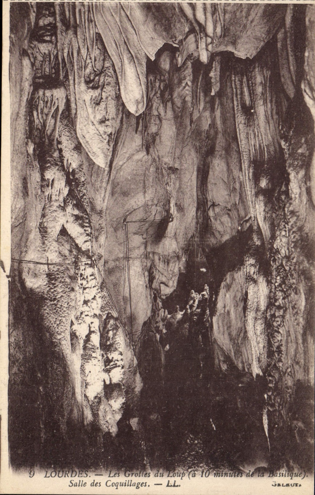 CPA Grotte Grottes Lourdes Les grottes du loup Salle des coquillages