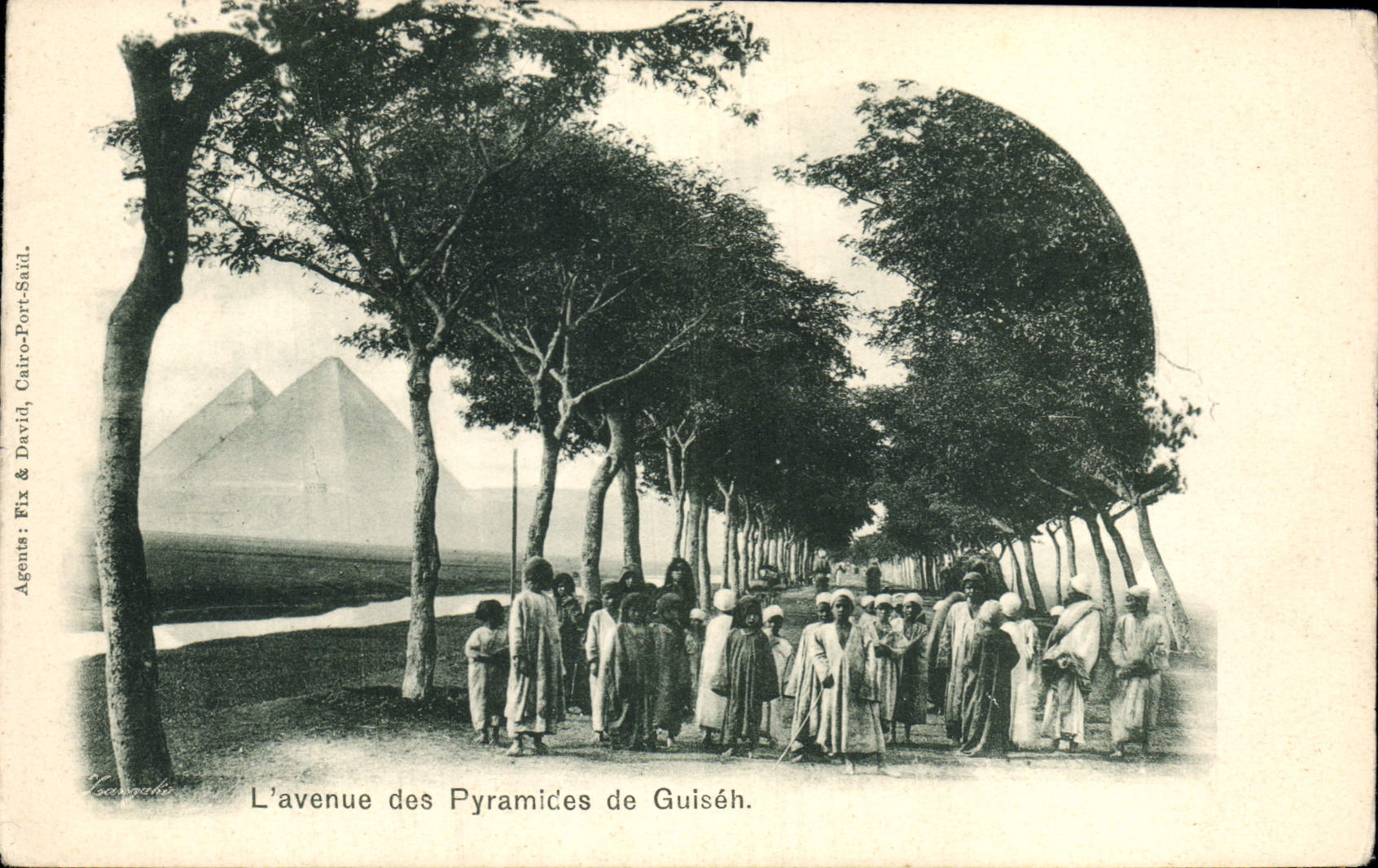 CPA Egypt Egypte  L'avenue de Pyramides de Guiseh