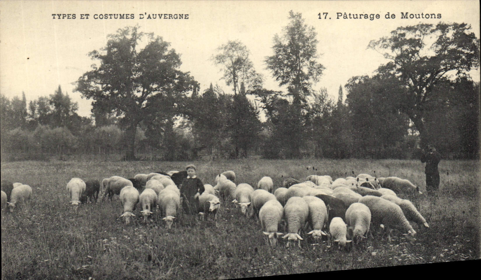 CPA Folklore Auvergne Paturage de moutons