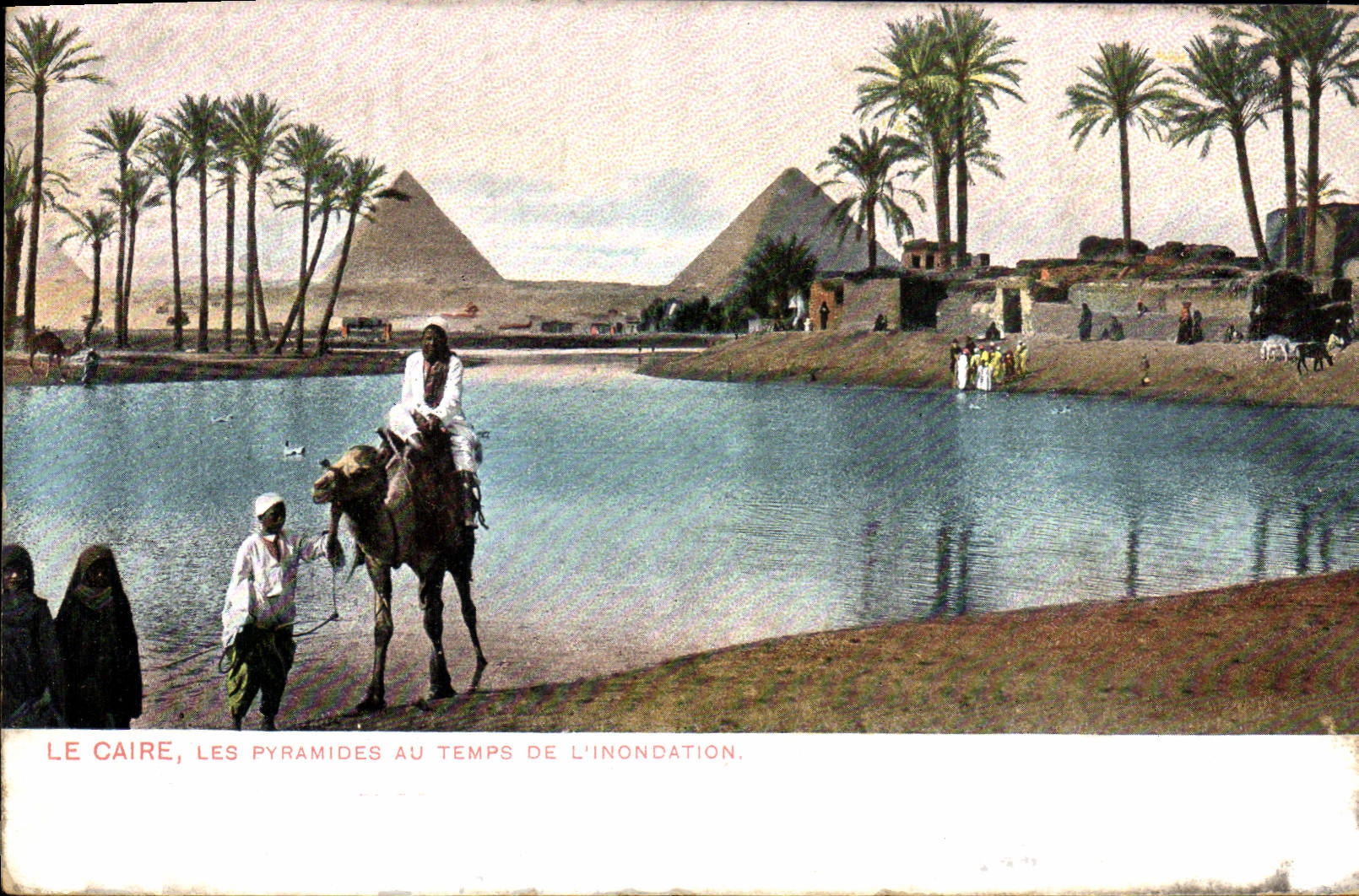CPA Egypt Egypte Le Caire Les pyramides au temps de l'inondation