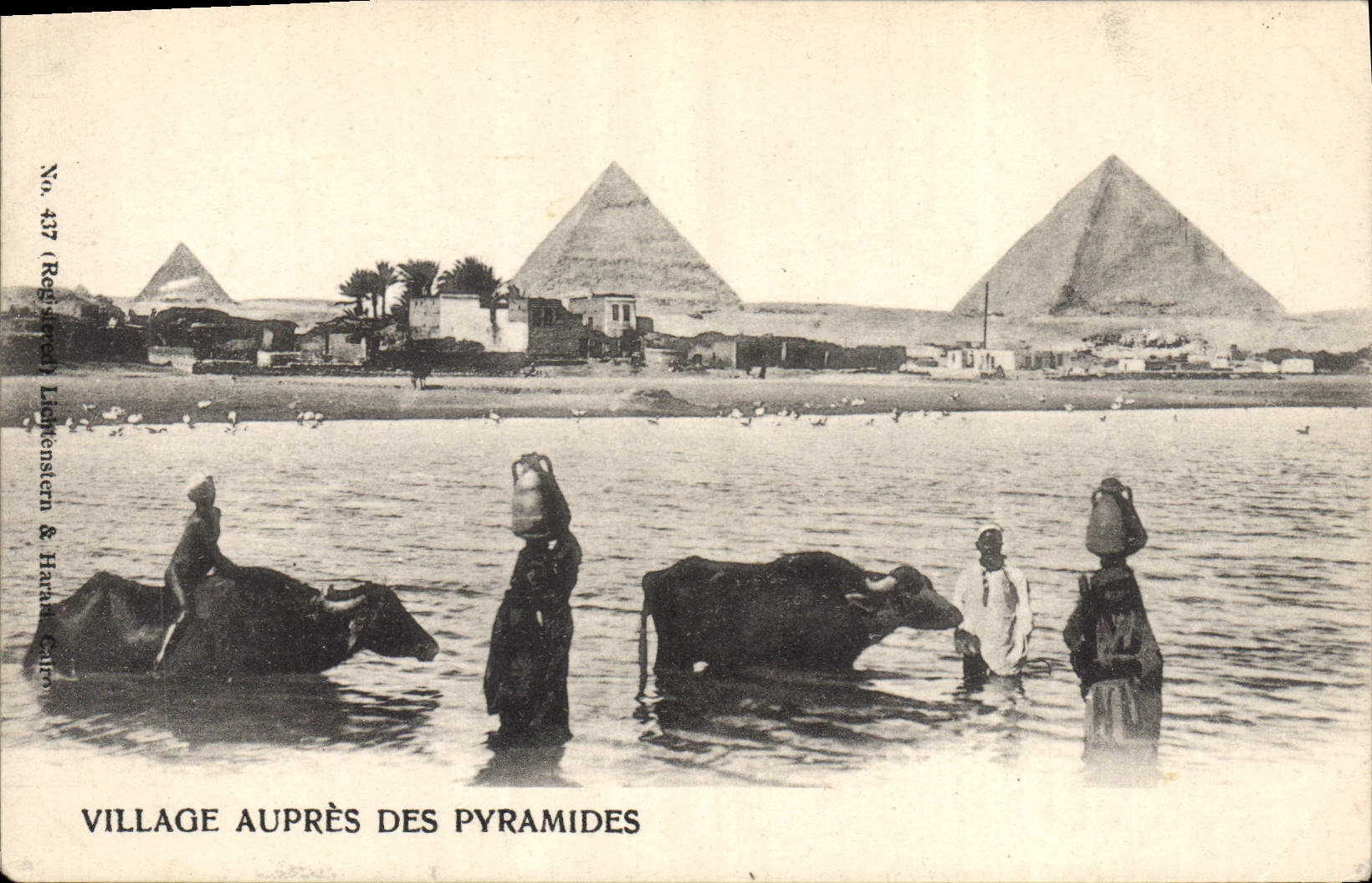 CPA Egypt Egypte Village aupres des pyramides 