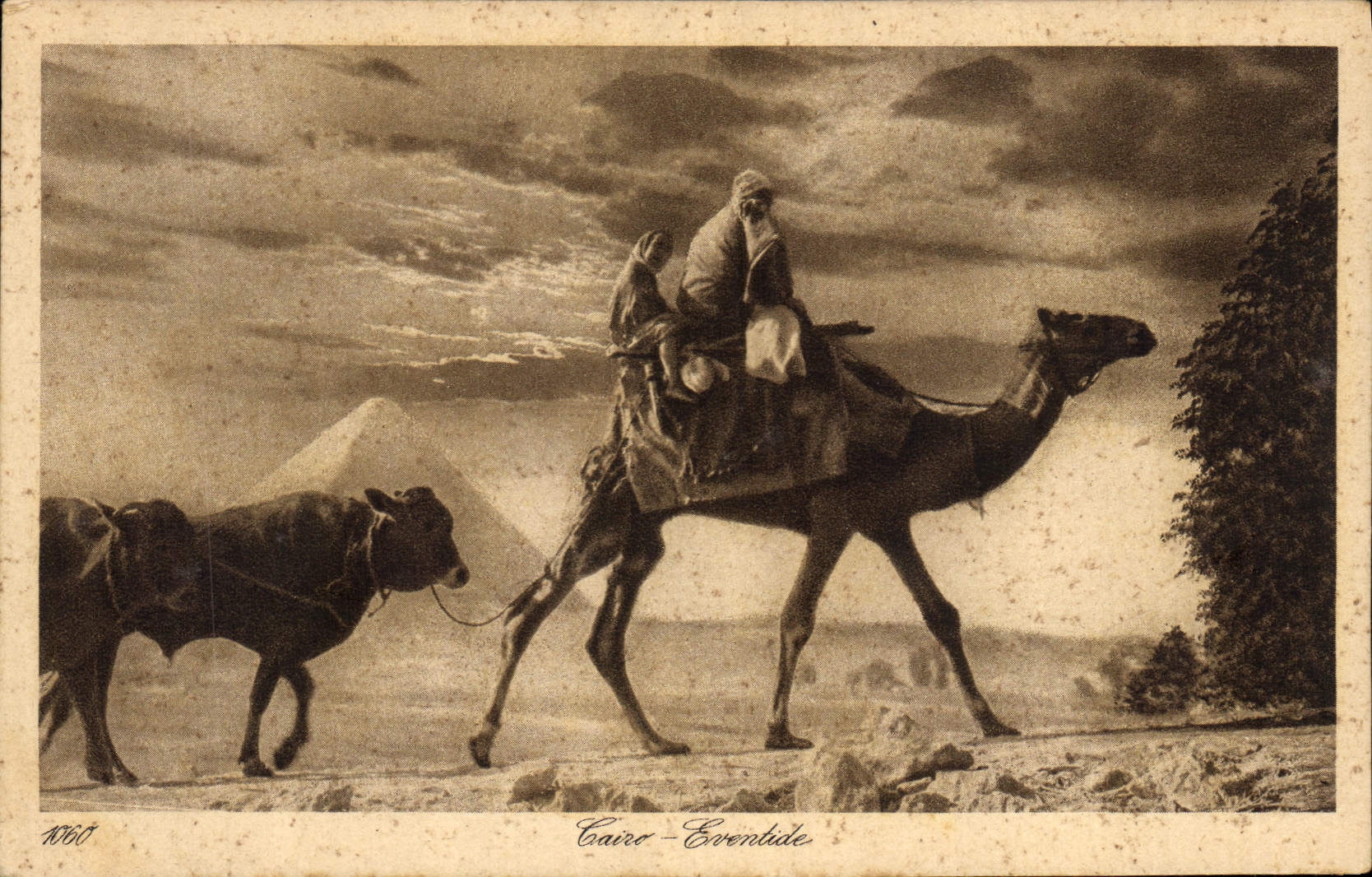 CPA Egypt Egypte Cairo Eventide