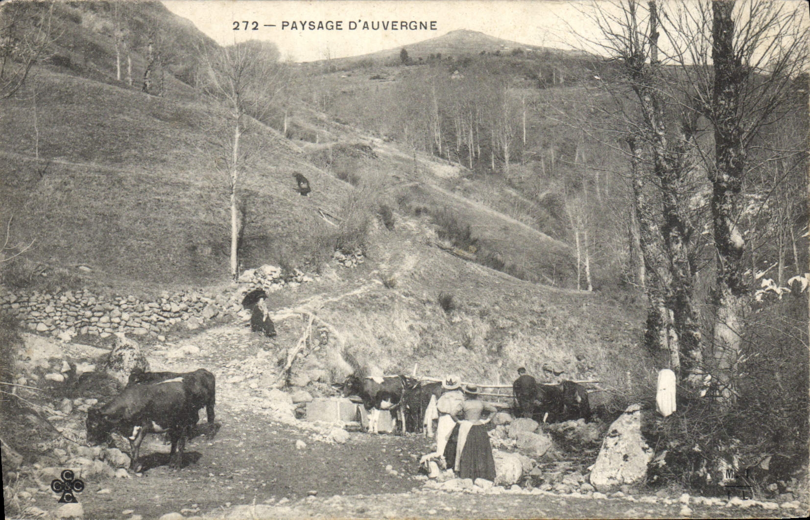 CPA Folklore Paysage d'Auvergne Vaches