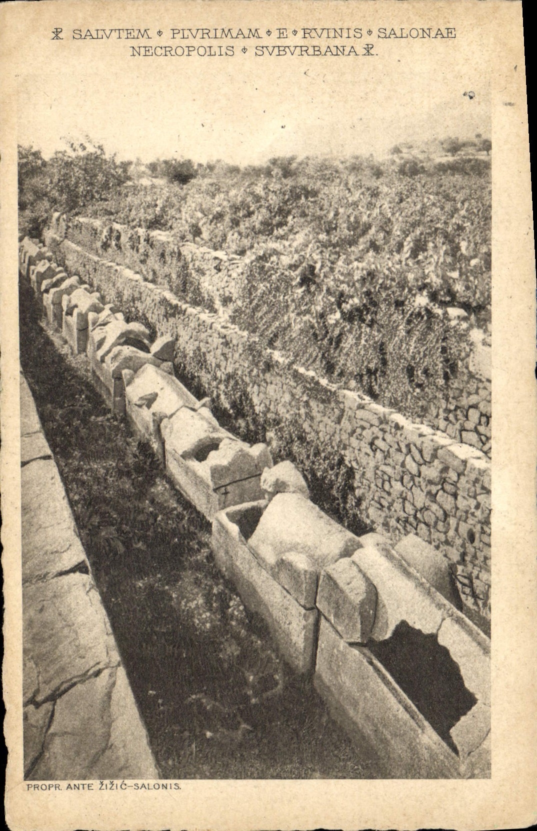 CPA Egypt Egypte Necropolis Salonis