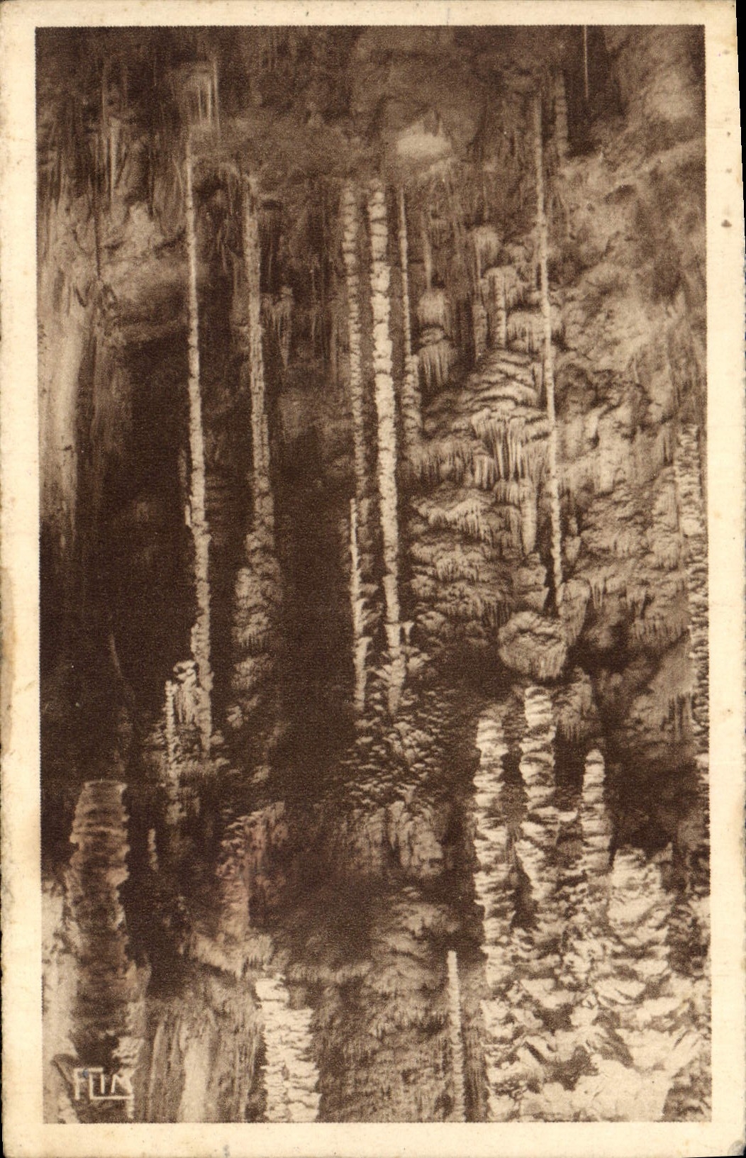 CPA l'Aven Armand dans la foret Vierge les aiguilles geantes
