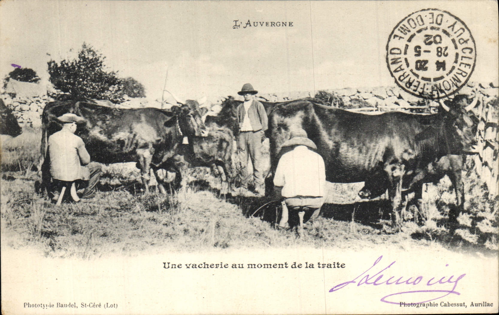 CPA Folklore L'Auvergne une vacherie au momet de la traite Vaches