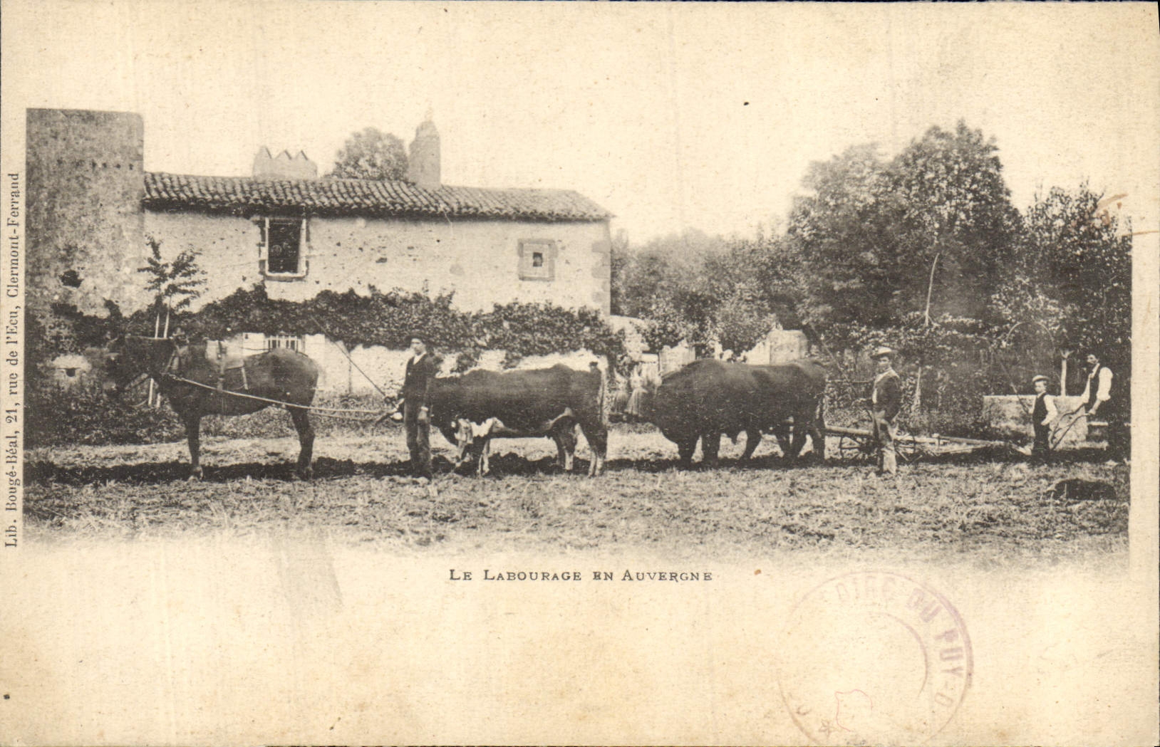 CPA Folklore Le labourage en Auvergne