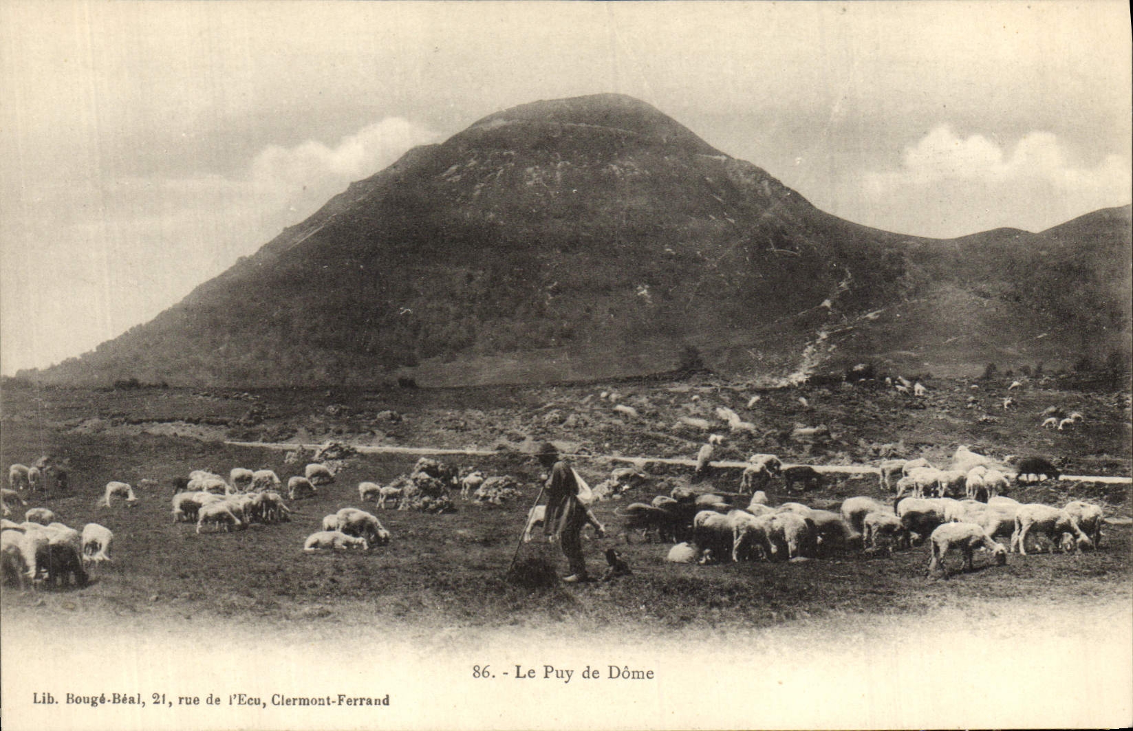 CPA Folklore Le Puy de Dome Berger Moutons