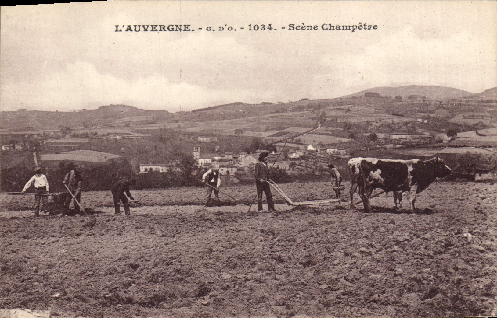 CPA Folklore L'Auvergne Scene Champetre Labour
