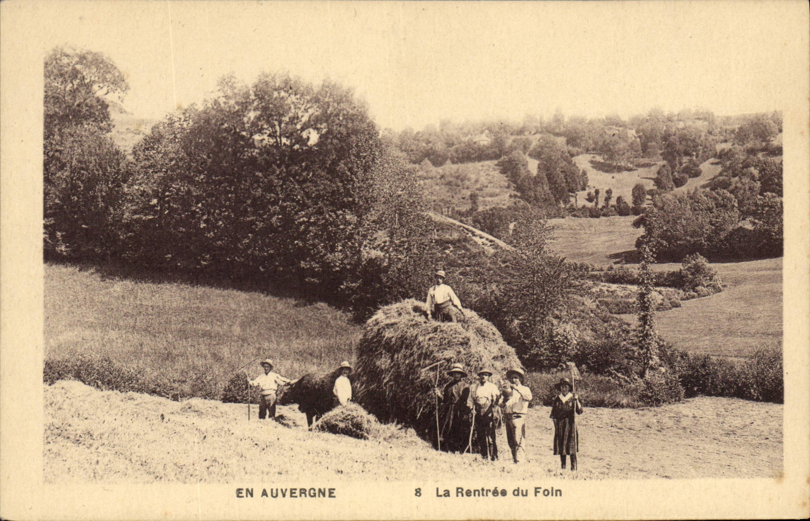 CPA Folklore En Auvergne la rentree du Foin