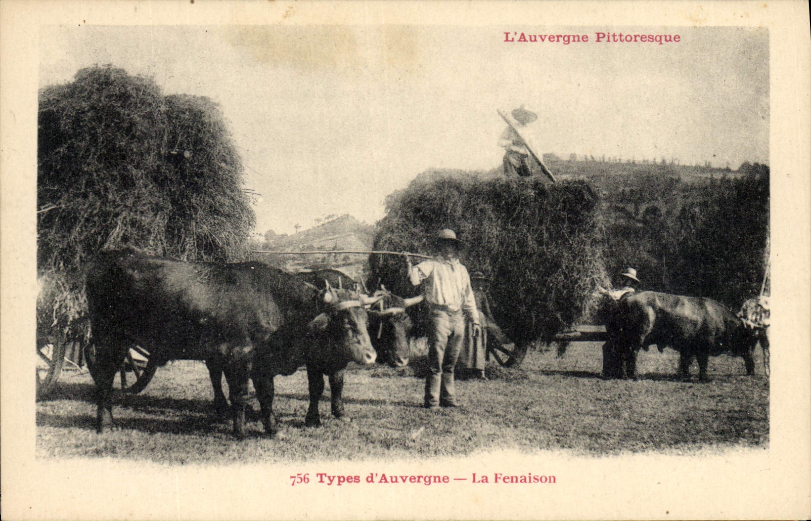 CPA Folklore Types d'Auvergne la Fenaison TOP