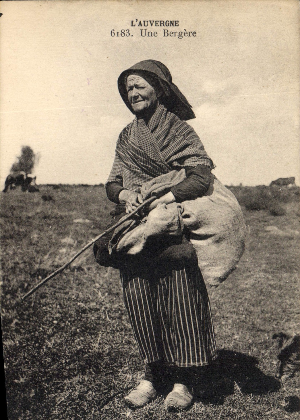 CPA Folklore L'Auvergne une bergere TOP