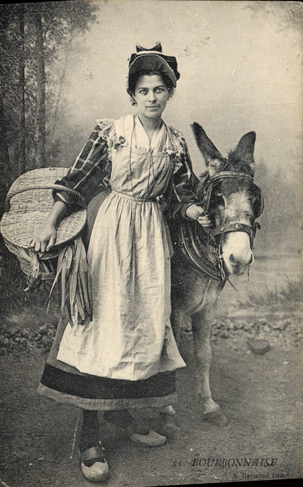 CPA Folklore Bourbonnaise Ane Mule