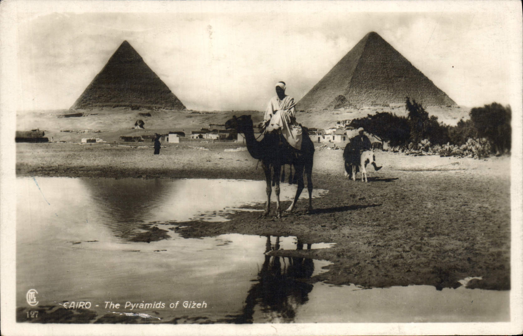 CPA Egypte Egypt Cairo The Pyramids of Gizeh