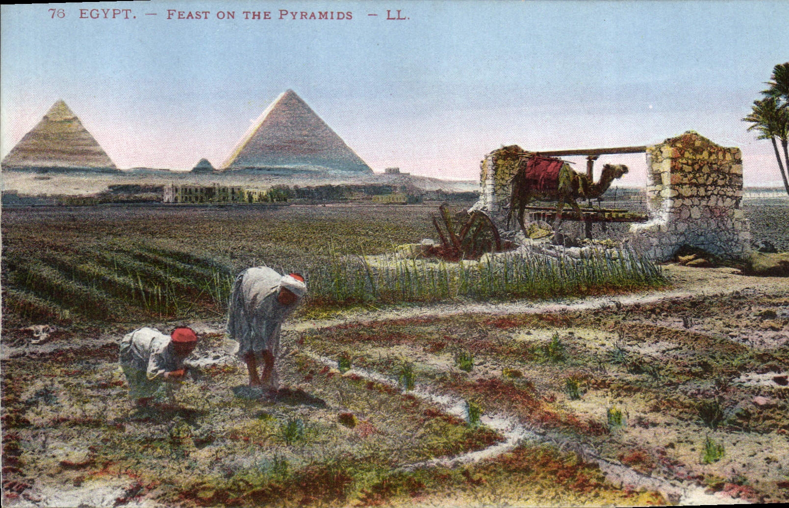 CPA Egypte Egypt EGYPTE. - Scène Champêtre au pied des Pyramides