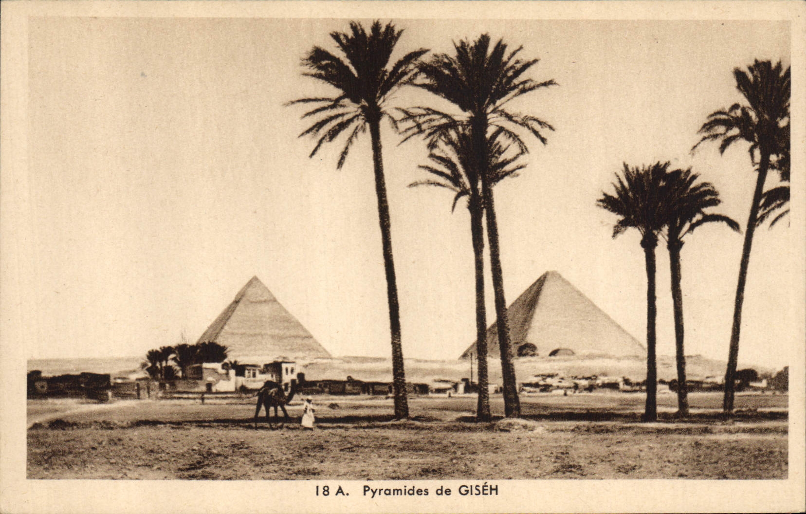 CPA Egypte Egypt Pyramides de GISEH