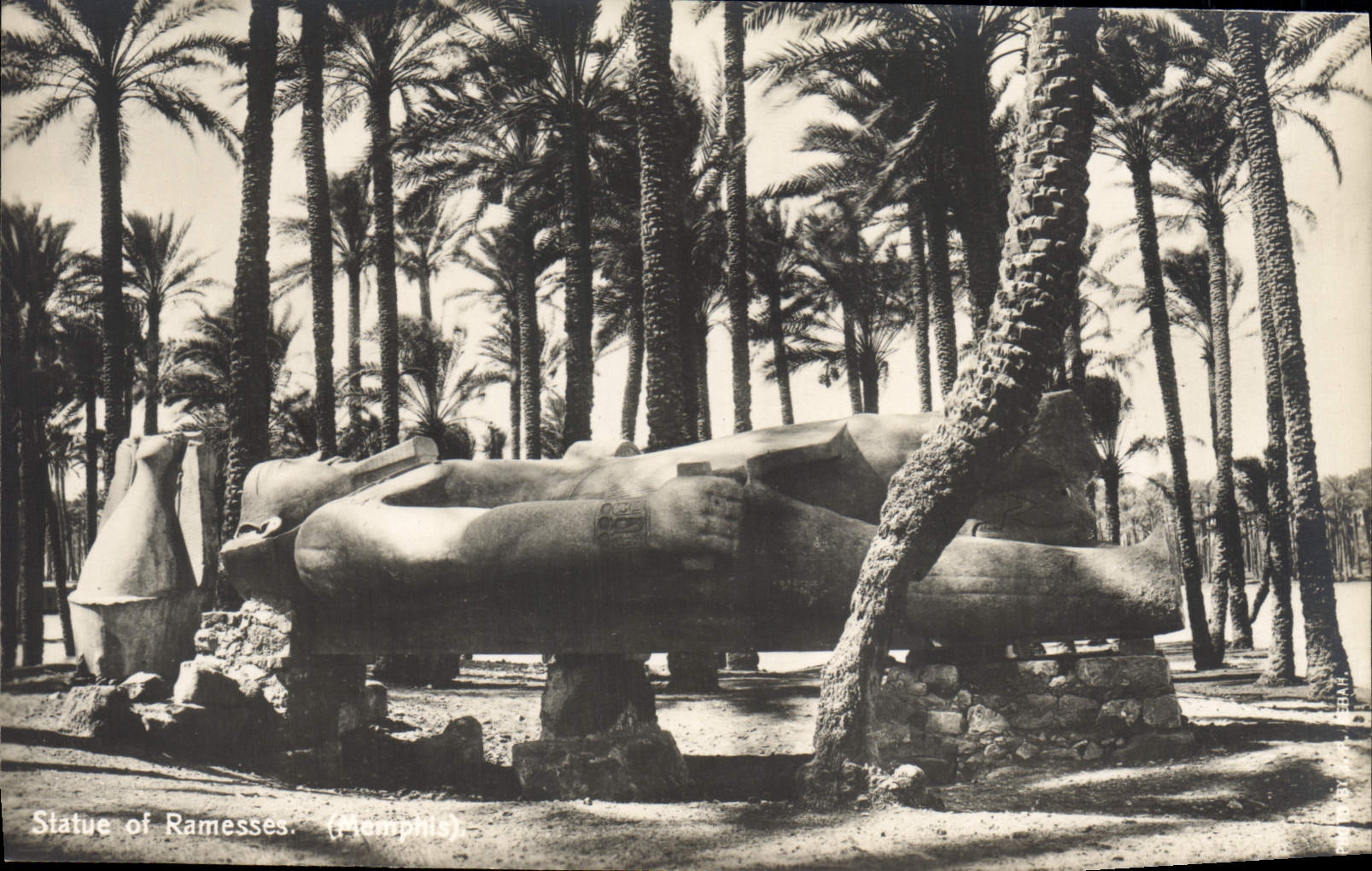 CPA Egypte Egypt La Statue de Ramesses