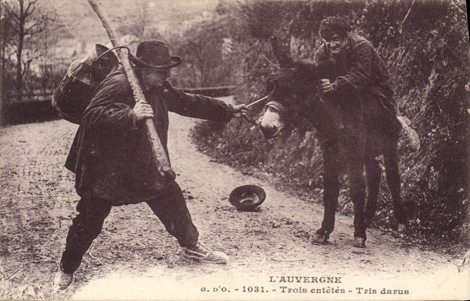 CPA Folklore L'AUVERGNE - 1031 - Trois entêtés Trois darus Ane Mule