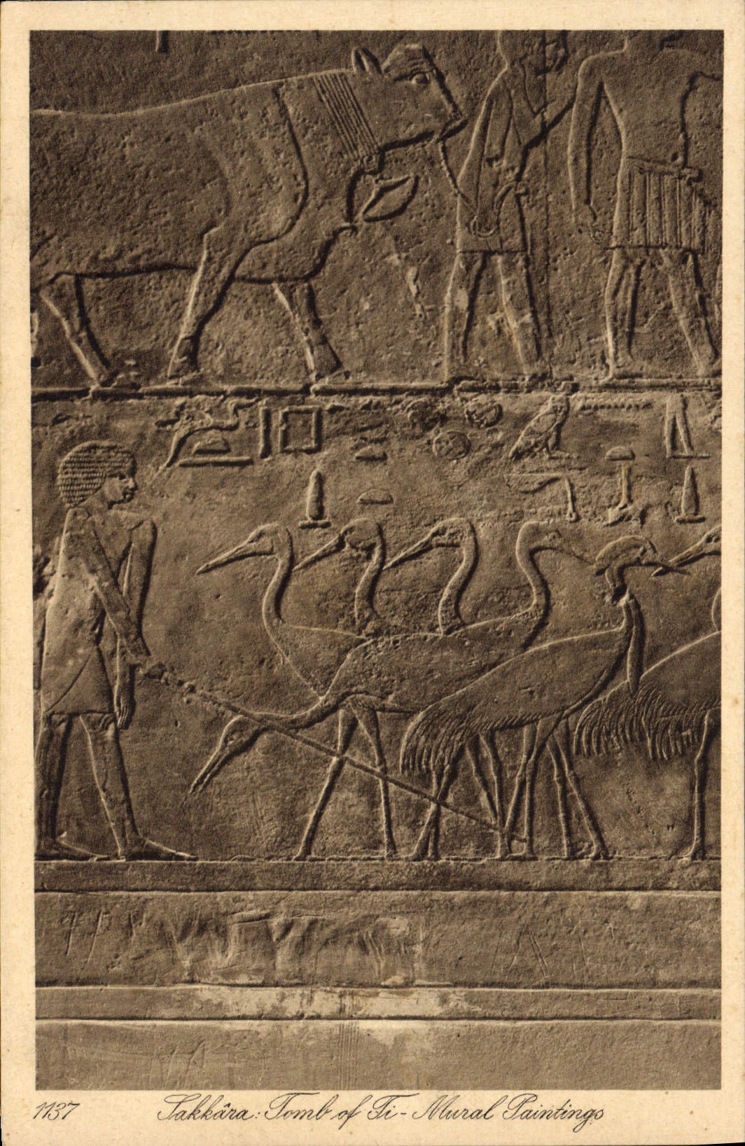 CPA Egypte Egypt Sakkara 