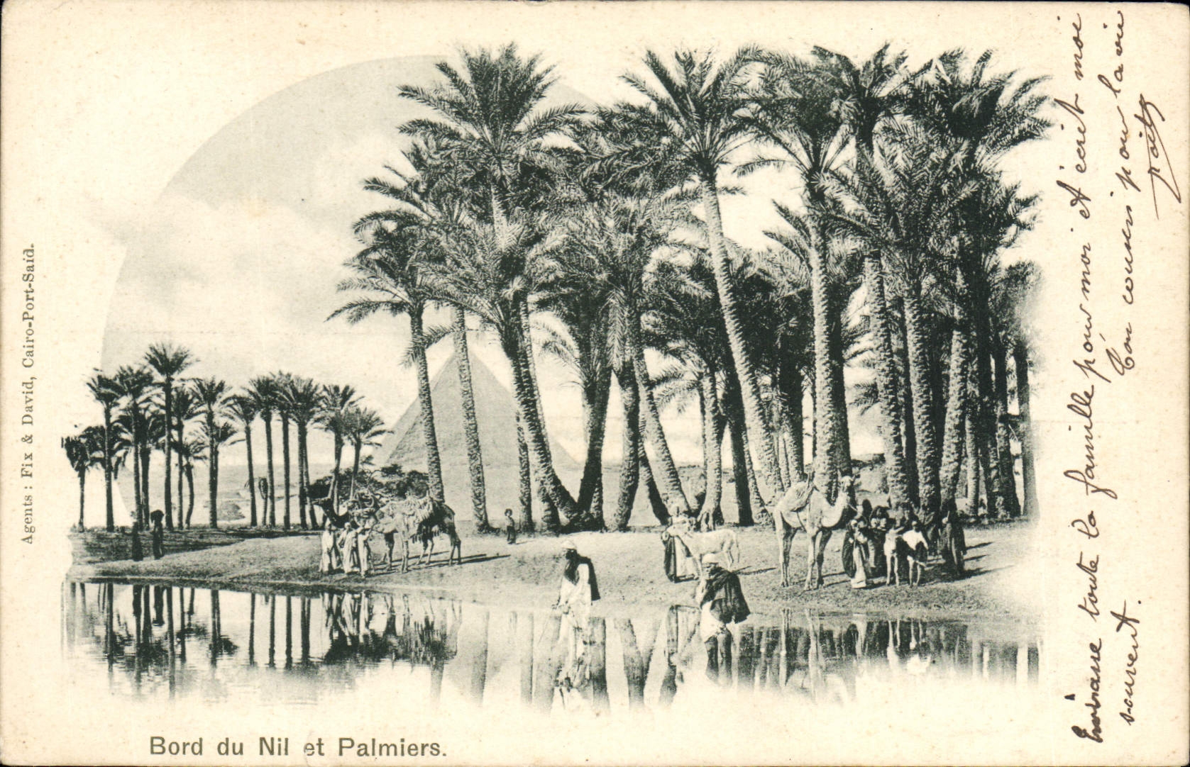 CPA Egypte Egypt Bors du Nil et Palmiers