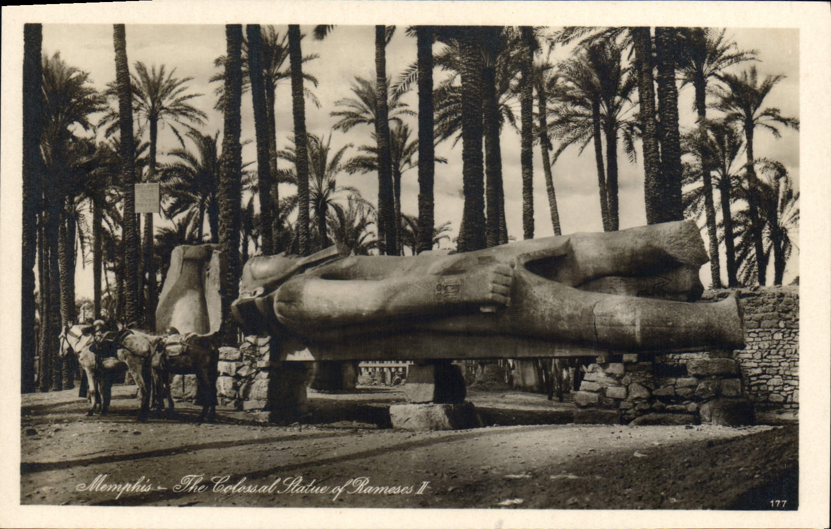 CPA Egypt Egypt Memphis The colossal statue of Ramses II