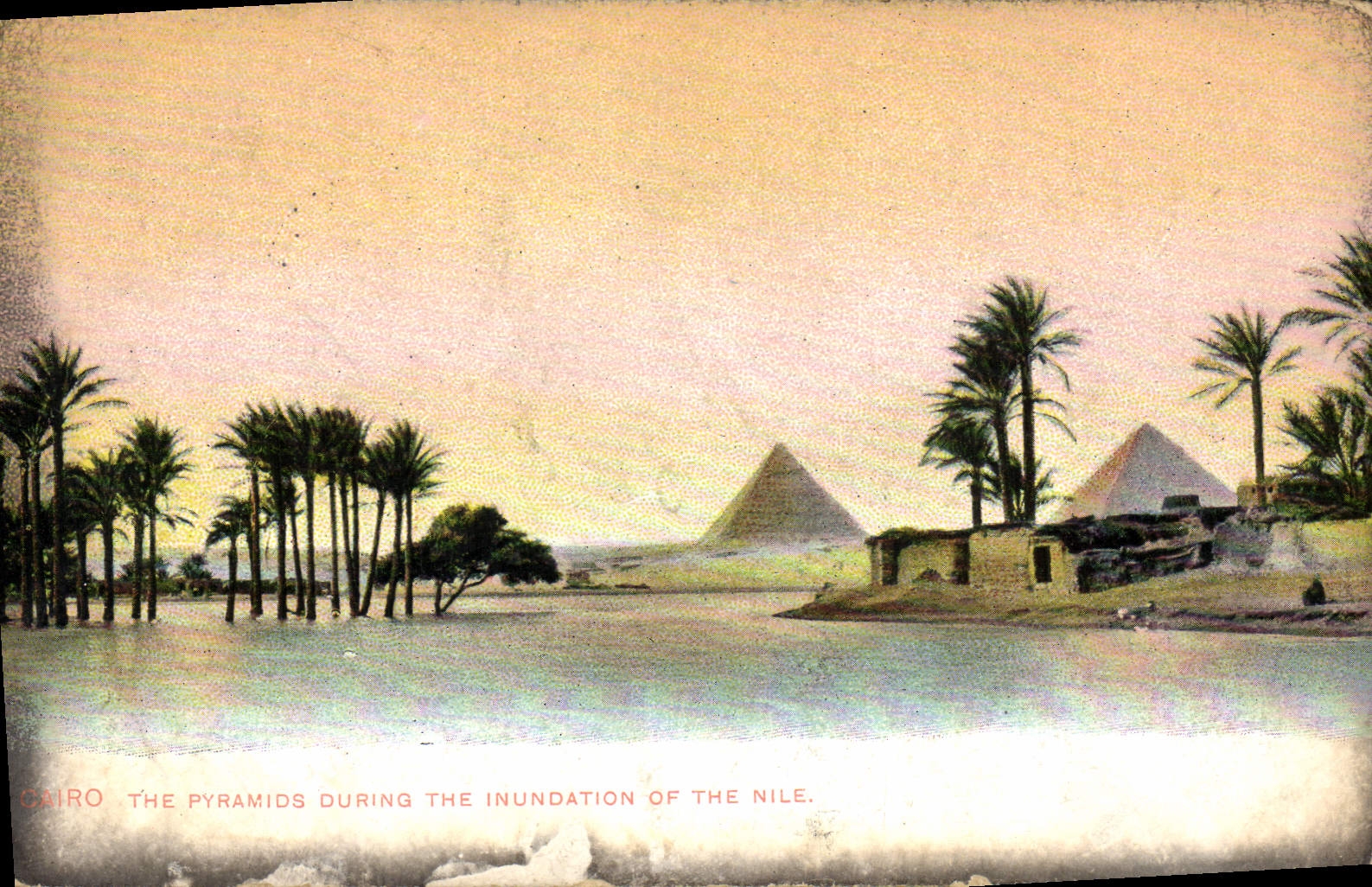 CPA Egypt Egypte Cairo The Pyramids during the inundation of the Nile 