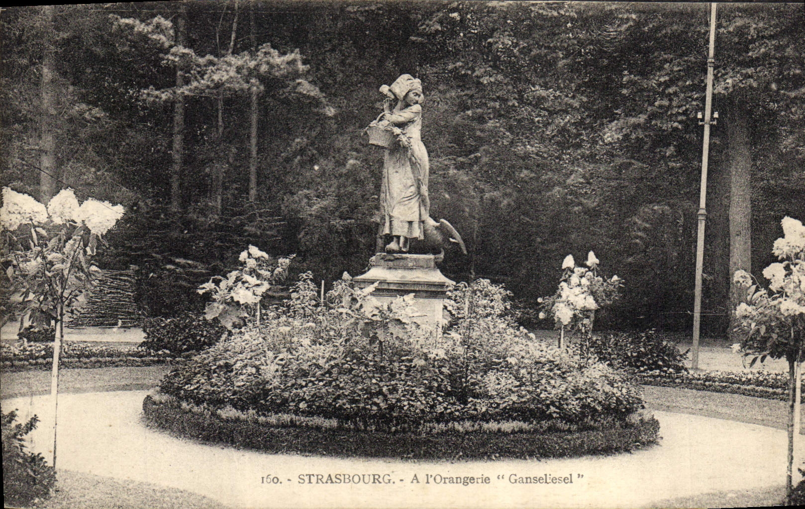 CPA Strasbourg A l'Orangerie Gansebesel 