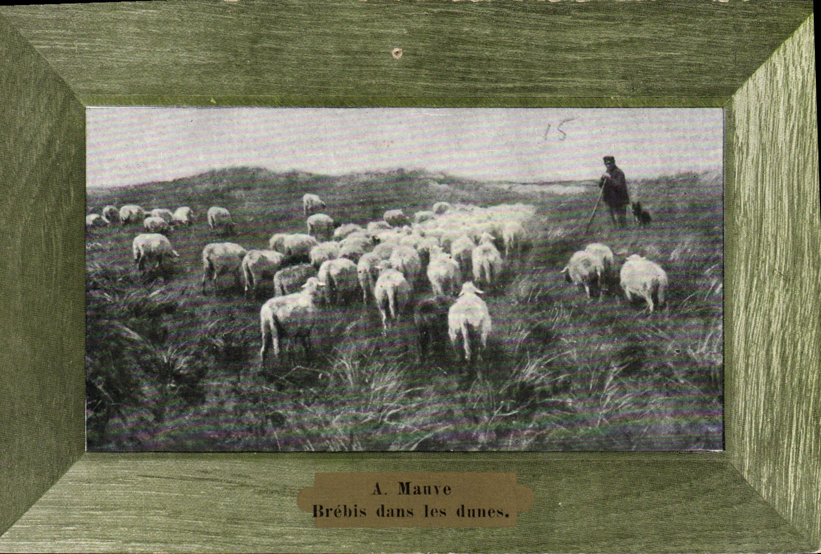 CPA A Mauve Brebis dans les dunes 
