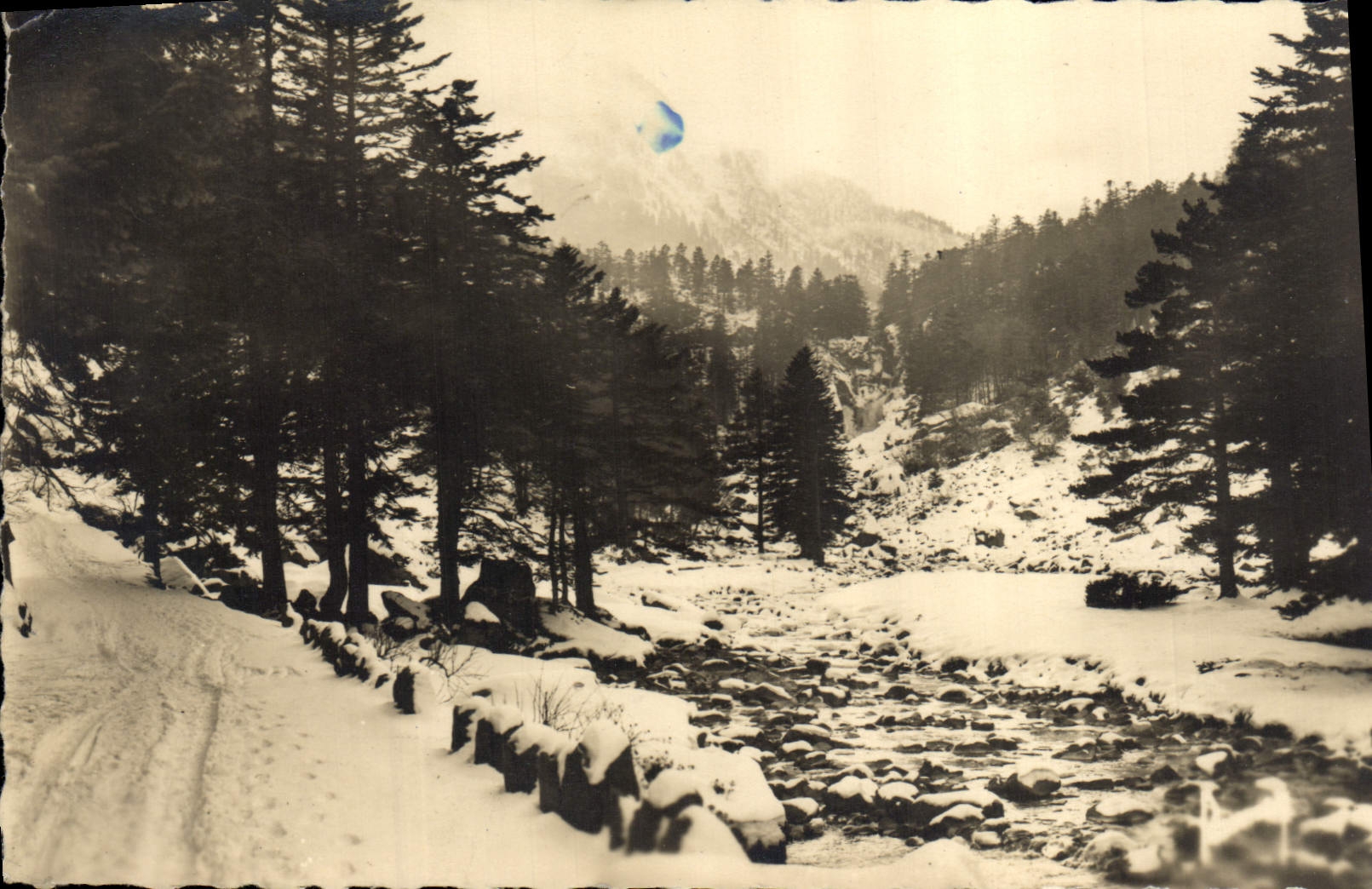 CPA Riviere 